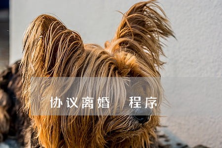 协议离婚 程序 协议离婚 程序